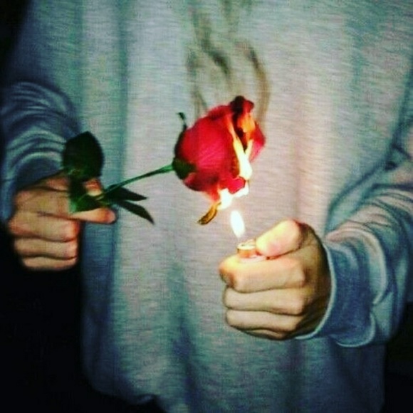 Meet your Posher, Caden - Picture 1 of 1